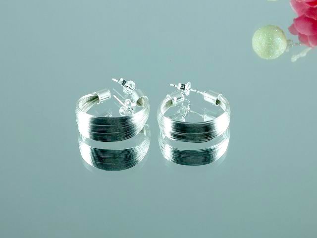 tiffany Earrings-163